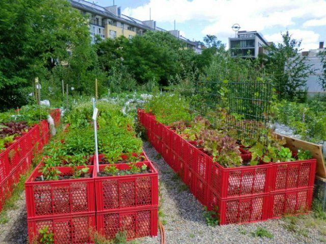 Плюсы и минусы высоких грядок 