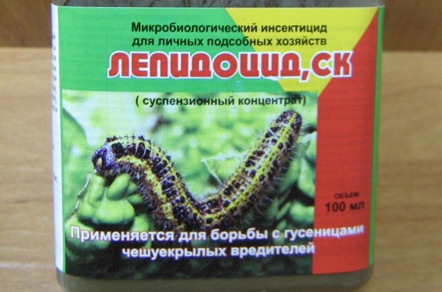7 биопрепаратов, которые должны быть под рукой 