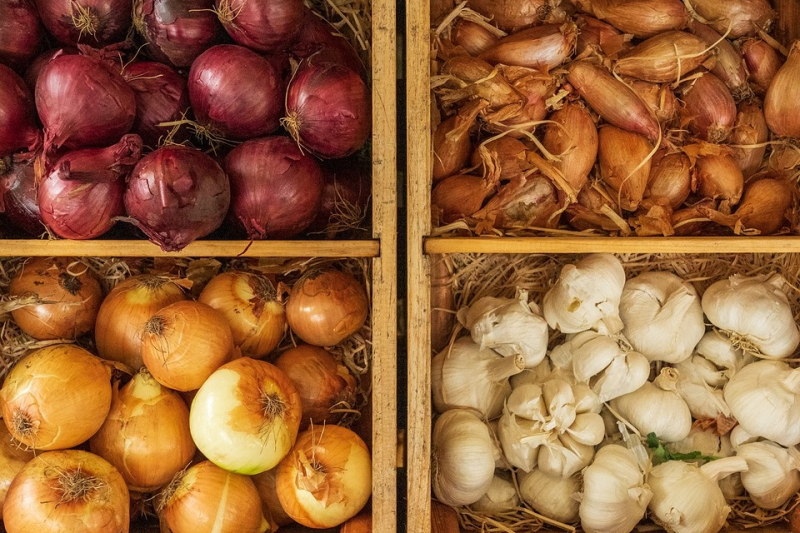 Чтобы не пропали: 6 нужных советов по хранению продуктовых запасов