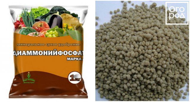Какие бывают фосфорные удобрения – виды, названия, особенности применения 