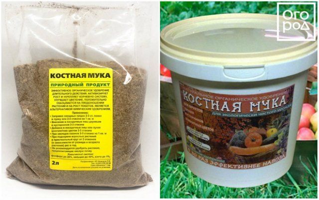 Какие бывают фосфорные удобрения – виды, названия, особенности применения 