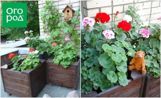 Нет участка? Озелените крышу подъездного холла 