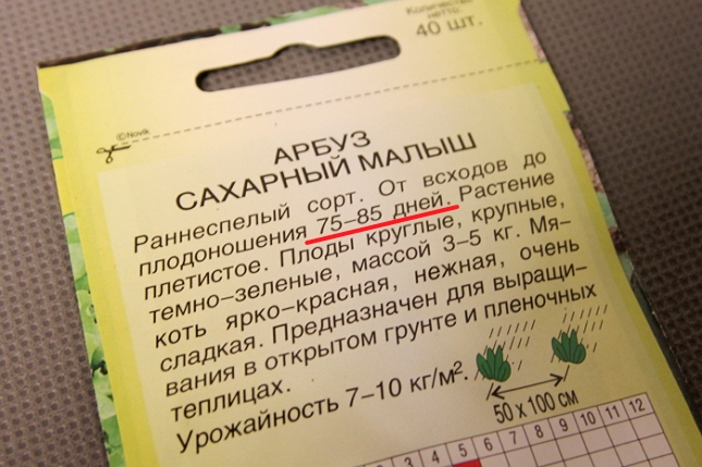 Посев семян арбуза и дыни на рассаду (мастер-класс) 