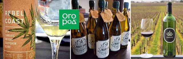 Самые необычные вина – удивляем гостей и удивляемся сами 
