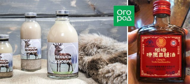 Самые необычные вина – удивляем гостей и удивляемся сами 