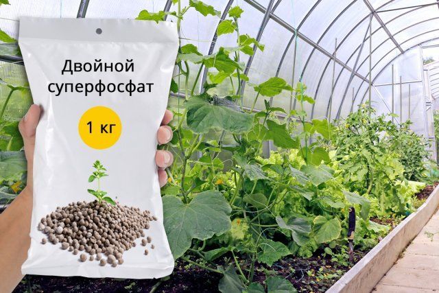 Суперфосфат – подробная инструкция по применению удобрения 