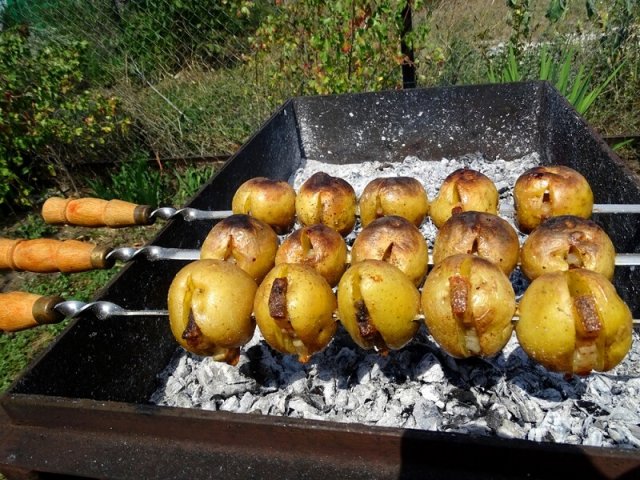 Чем перекусить на даче: 7 быстрых и вкусных блюд для весенней поездки за город 