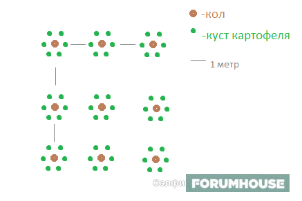 Два вечера потрудился - все лето балдеешь! Участники FORUMHOUSE выращивают картошку нетрадиционными способами