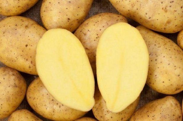 Готовим клубни картофеля к посадке: как не упустить важные моменты 