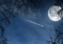 Дачный «планетарий с удобствами»