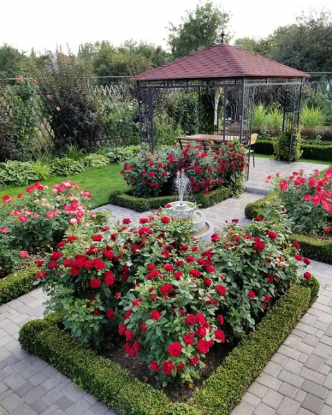 Дизайн двора частного дома: основные этапы и советы по оформлению (90 фото)