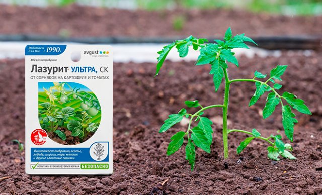 Как избавиться от сорняков на картофеле и томатах 