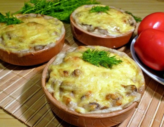 Строчки и сморчки – как различать, собирать и готовить 