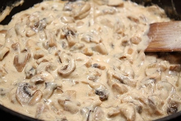 Строчки и сморчки – как различать, собирать и готовить 