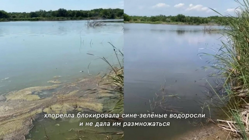 Высокий кислород и чистота водоема безопасным природным методом