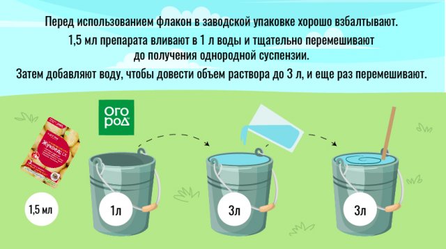 Что ест колорадский жук и как от него избавиться 