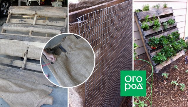 Из чего можно быстро сделать вертикальные грядки 