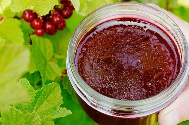 Что приготовить из смородины на зиму – простые рецепты вкусных заготовок 