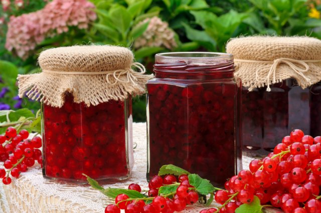 Что приготовить из смородины на зиму – простые рецепты вкусных заготовок 