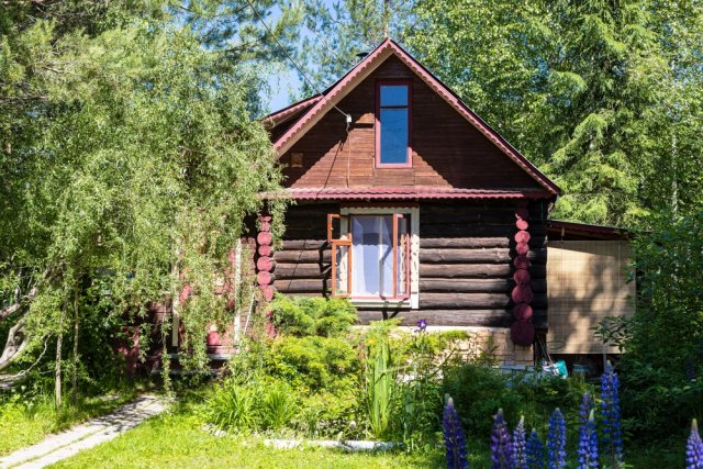 На каком расстоянии от дома безопасно сажать деревья, кусты и делать клумбы 
