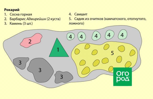 6 простых клумб, которые можно посадить прямо сейчас 