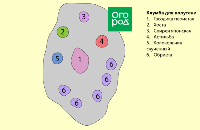 6 простых клумб, которые можно посадить прямо сейчас 