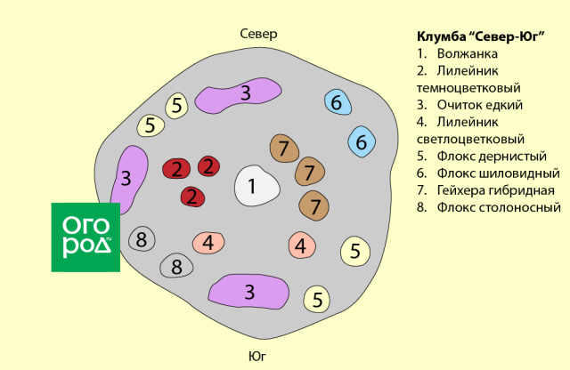 6 простых клумб, которые можно посадить прямо сейчас 