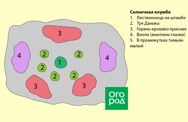 6 простых клумб, которые можно посадить прямо сейчас 