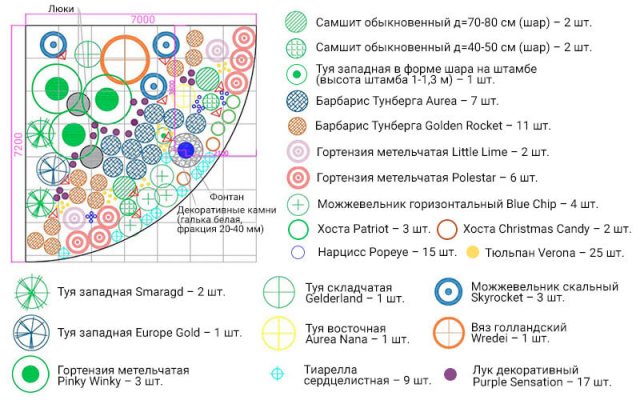 Цветник вдоль забора – схемы с описанием растений 
