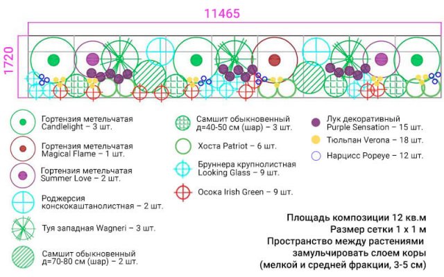 Цветник вдоль забора – схемы с описанием растений 