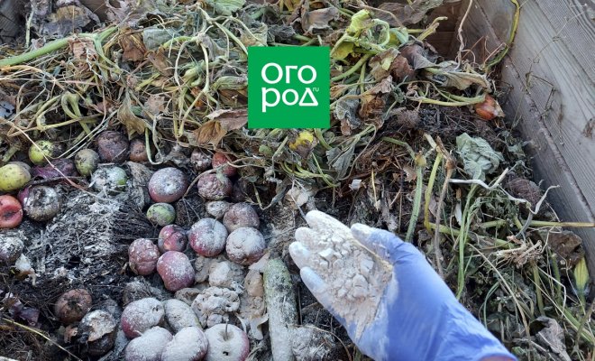 nuzhno-li-raskisljat-kompost-i-kak-sdelat-eto-pravilno-2882a10