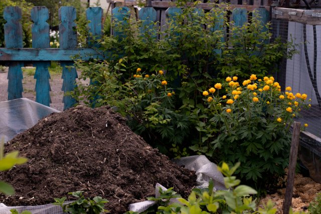 Обзор средств для компоста: 10 самых популярных препаратов 
