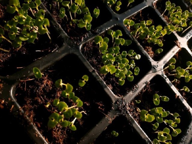 5 крутых лайфхаков от горожан, ставших деревенскими жителями 