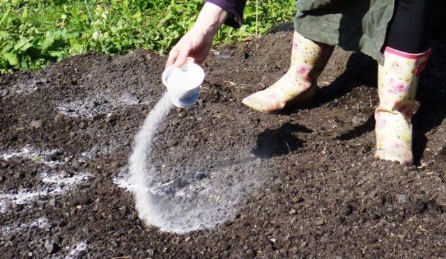 9 полезных свойств доломитовой муки, о которых вы даже не догадывались 