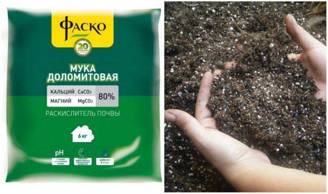 9 полезных свойств доломитовой муки, о которых вы даже не догадывались 