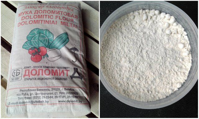 9 полезных свойств доломитовой муки, о которых вы даже не догадывались 