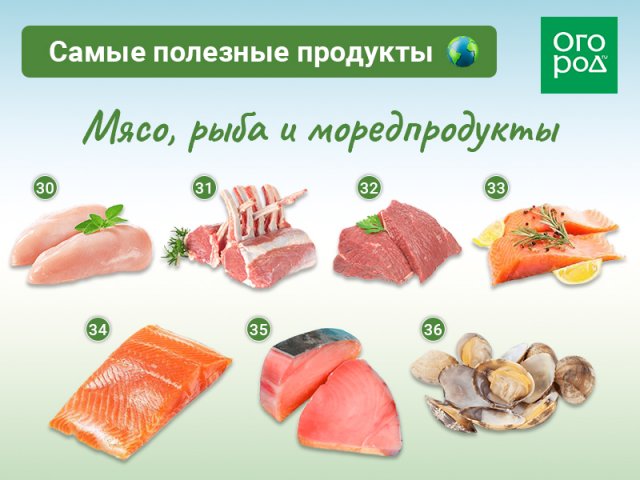 50 самых полезных продуктов на планете Земля 