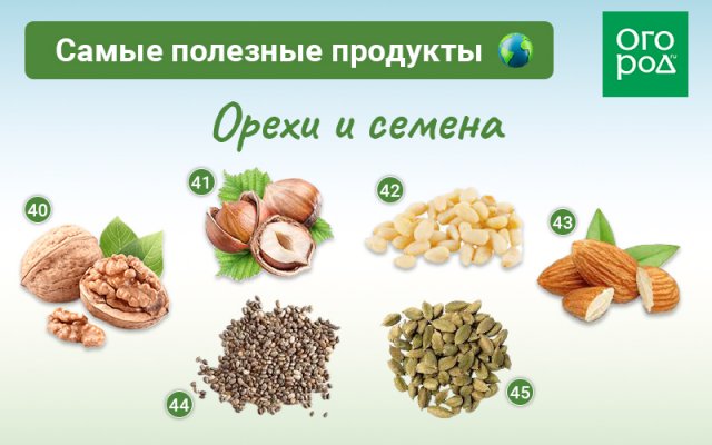 50 самых полезных продуктов на планете Земля 