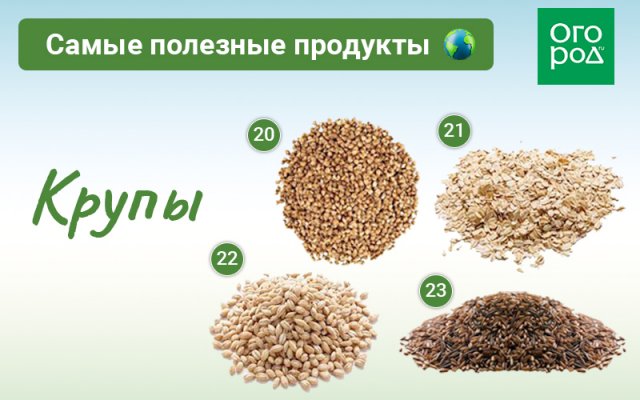 50 самых полезных продуктов на планете Земля 
