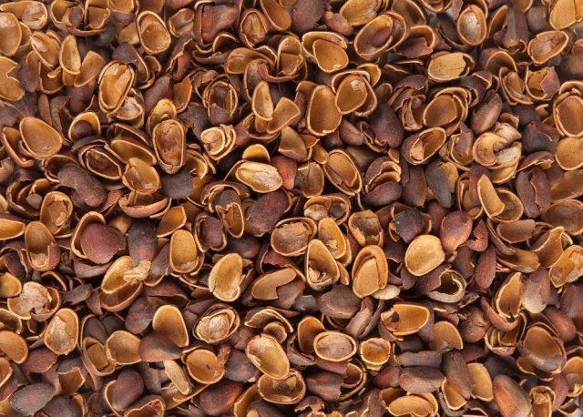 Чем можно мульчировать осенью &ndash; варианты на любой вкус 