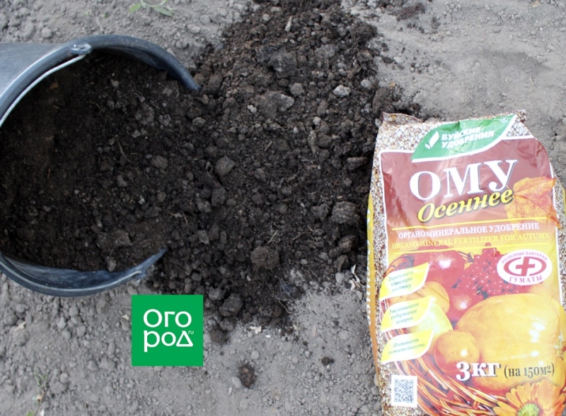 Что лучше: органика или "минералка" &ndash; выбираем осеннюю подкормку 