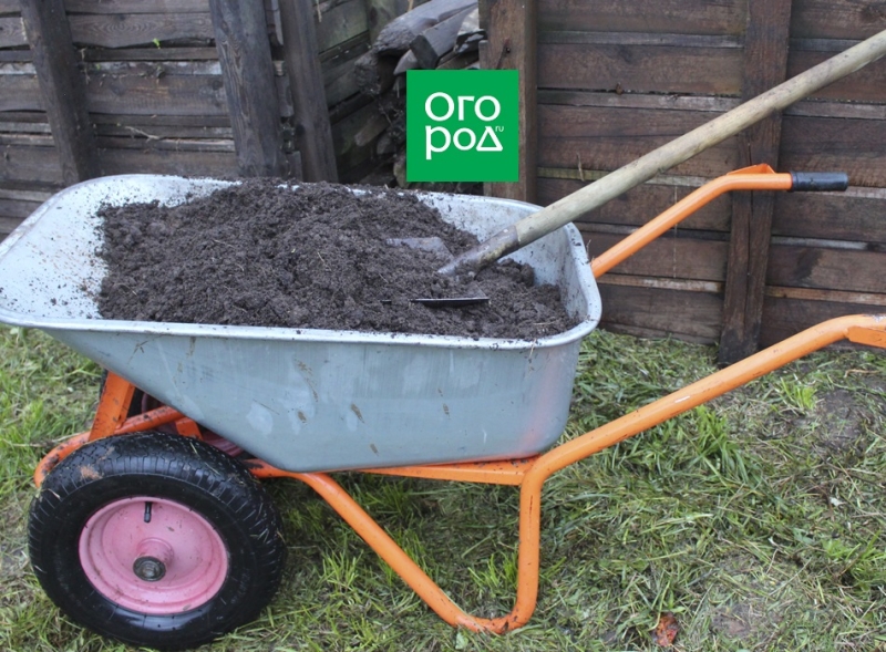 Что лучше: органика или "минералка" &ndash; выбираем осеннюю подкормку 