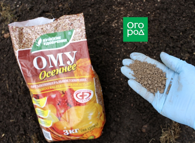 Что лучше: органика или "минералка" &ndash; выбираем осеннюю подкормку 