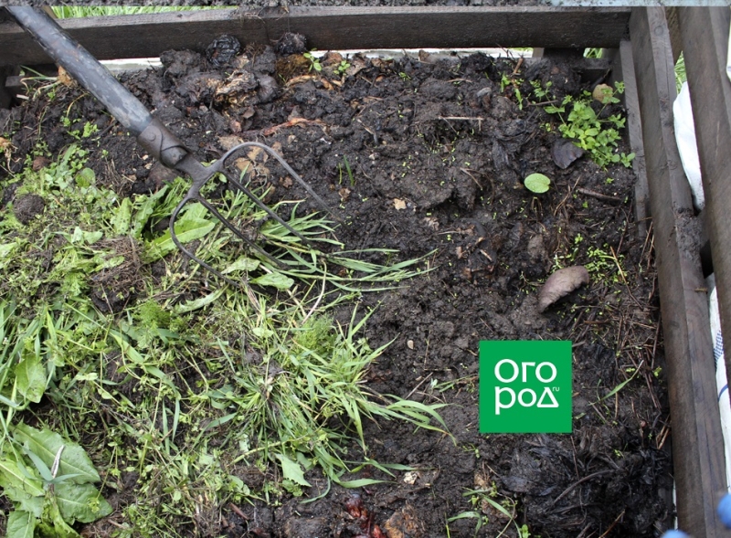 Что лучше: органика или "минералка" &ndash; выбираем осеннюю подкормку 