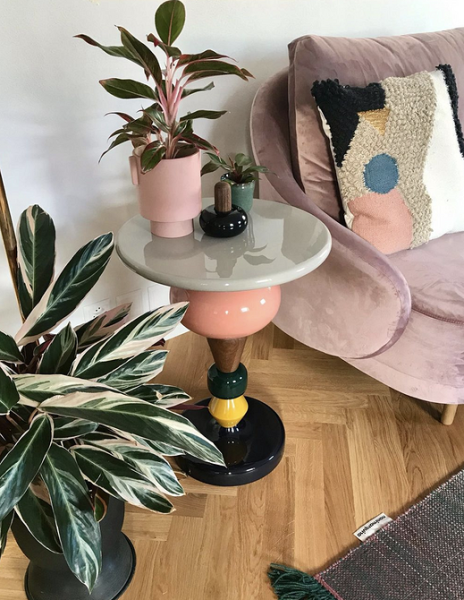 Обустраиваем зеленый уголок: 5 пар комнатных растений, которые хорошо смотрятся рядом