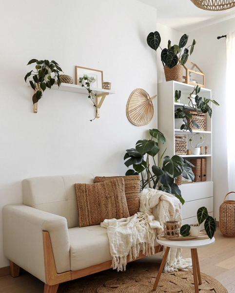 Обустраиваем зеленый уголок: 5 пар комнатных растений, которые хорошо смотрятся рядом