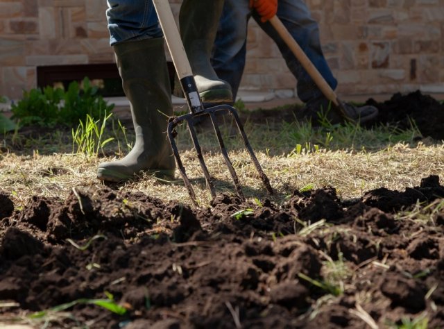 Осеннее перекапывание огорода – преимущества, недостатки и надо ли вообще