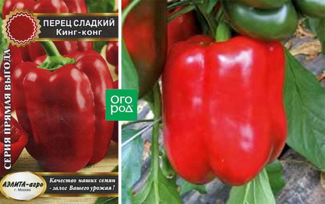13 сортов сладкого перца с самыми крупными плодами 