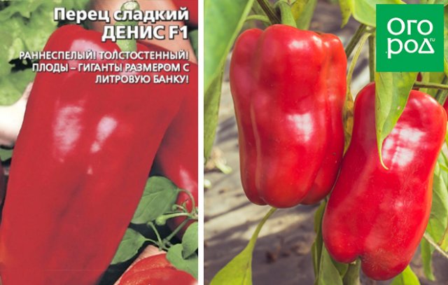 13 сортов сладкого перца с самыми крупными плодами 