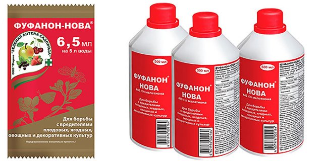 5 препаратов, без которых осенью как без рук 